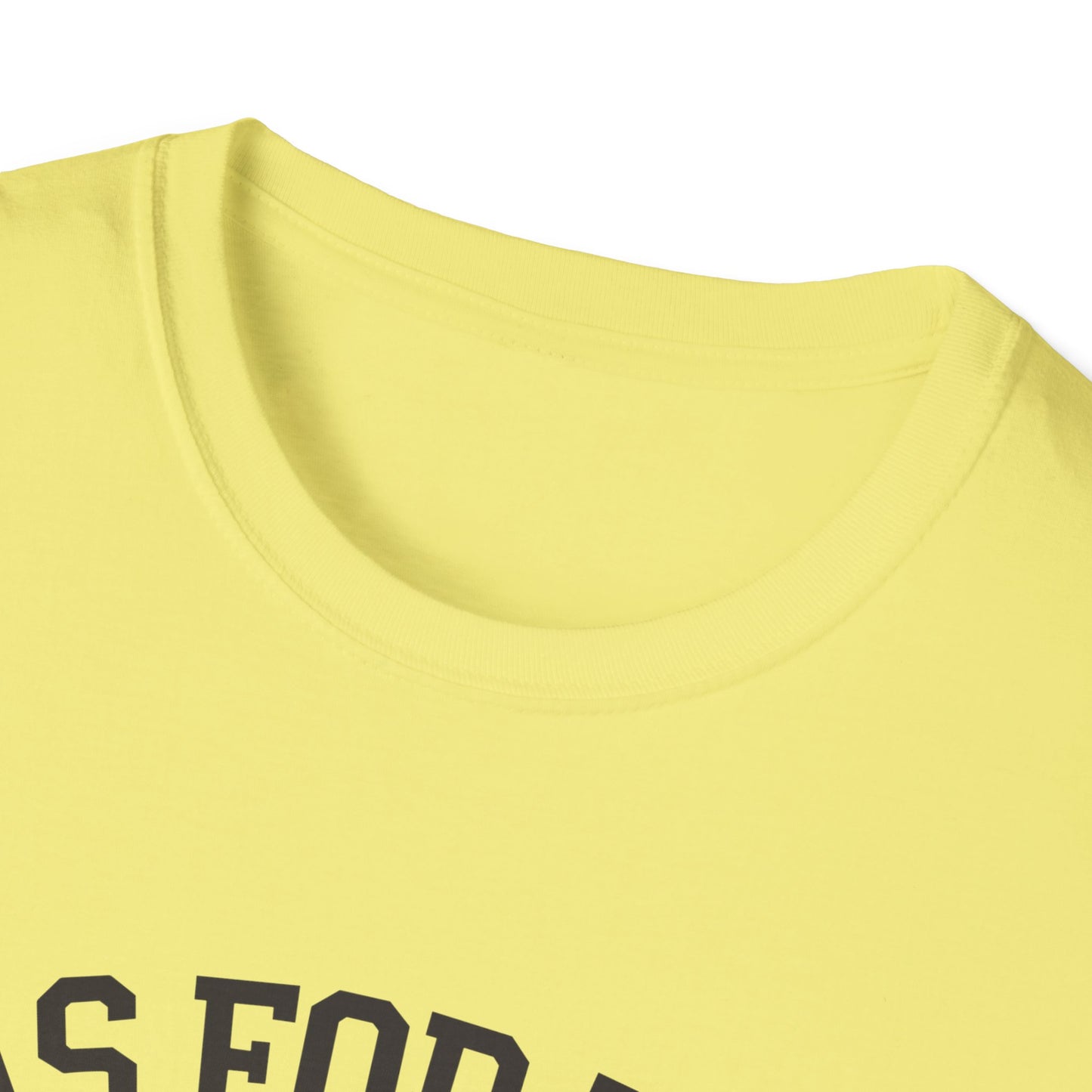 Faith-Based Unisex Softstyle T-Shirt - 'As for Me and My House, We Will Serve the Lord'