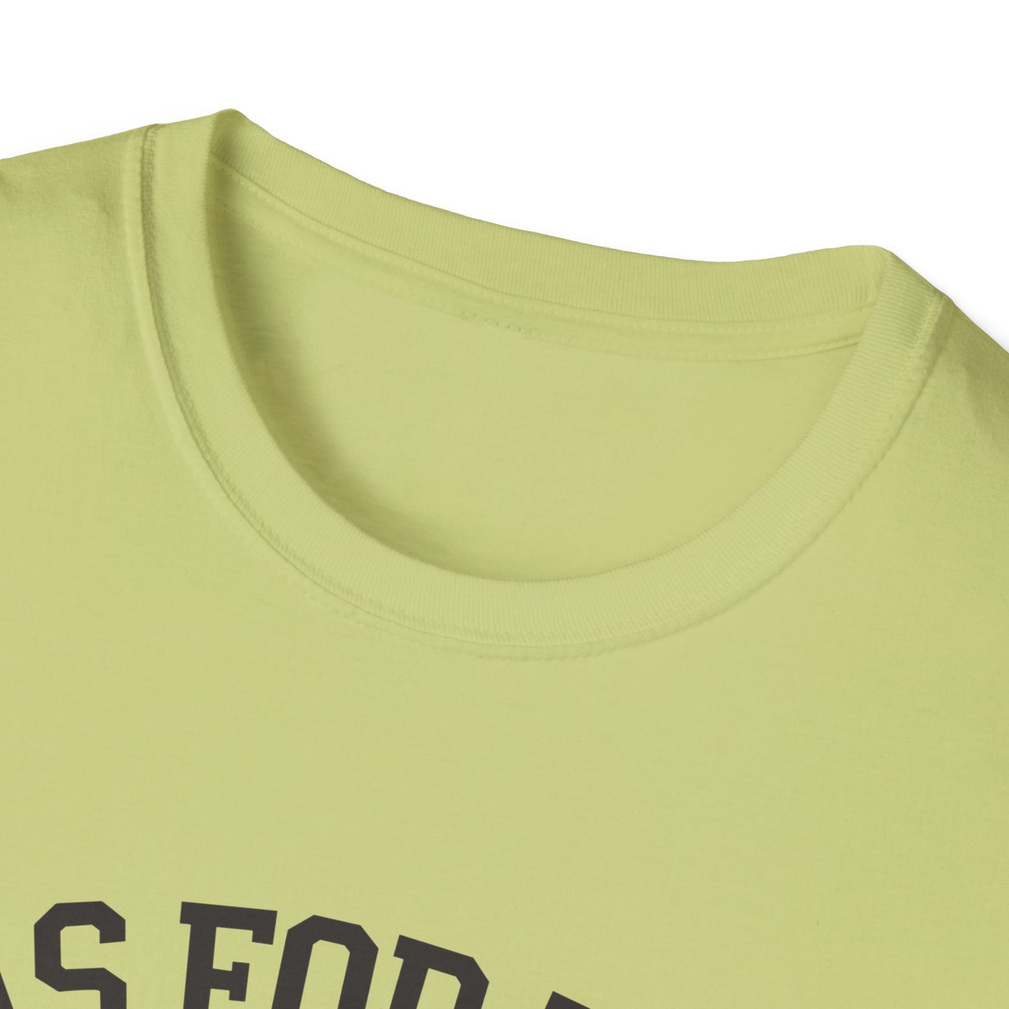 Faith-Based Unisex Softstyle T-Shirt - 'As for Me and My House, We Will Serve the Lord'