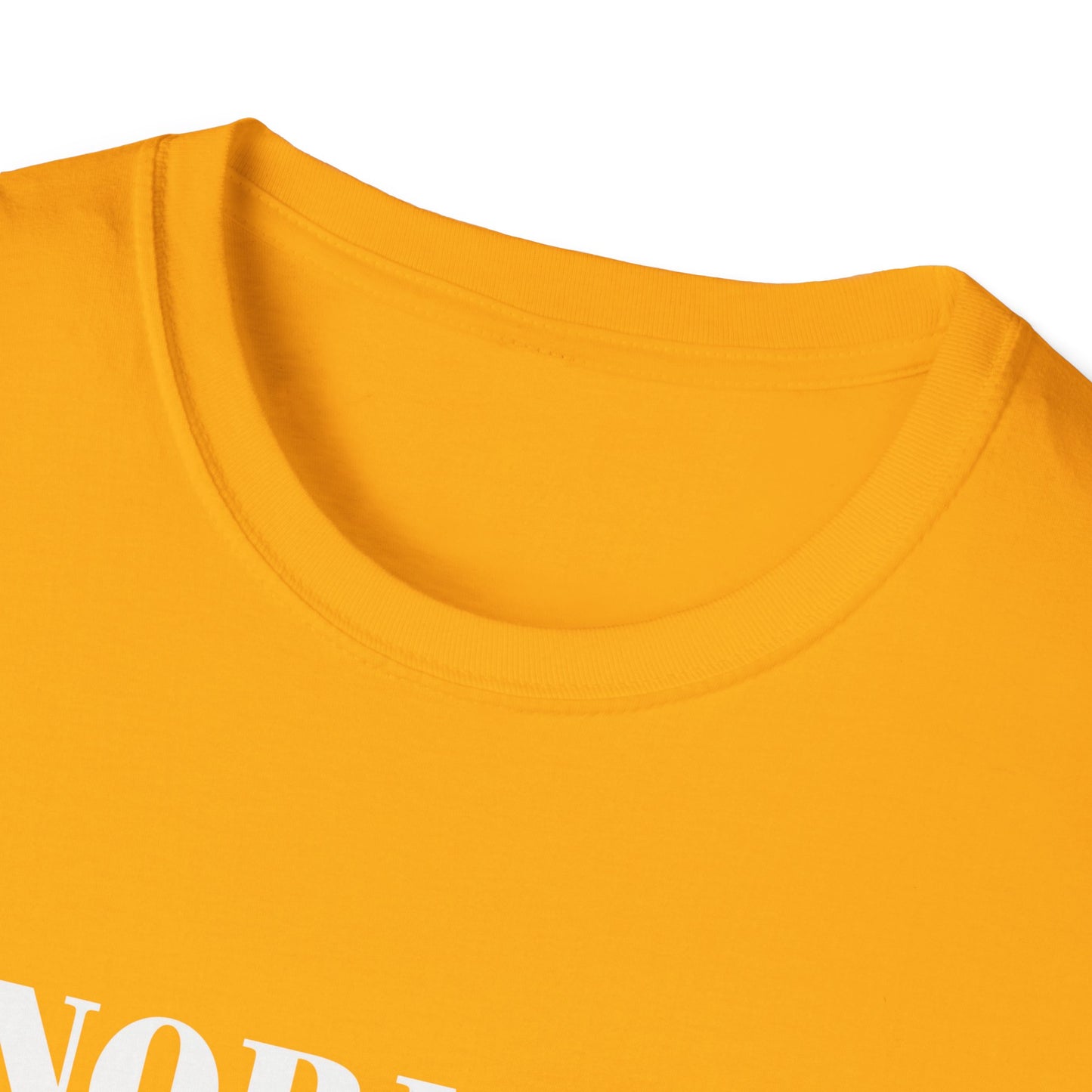 Inspirational Faith T-Shirt - "Normal" Isn't Coming Back - Jesus is | Unisex Softstyle Top