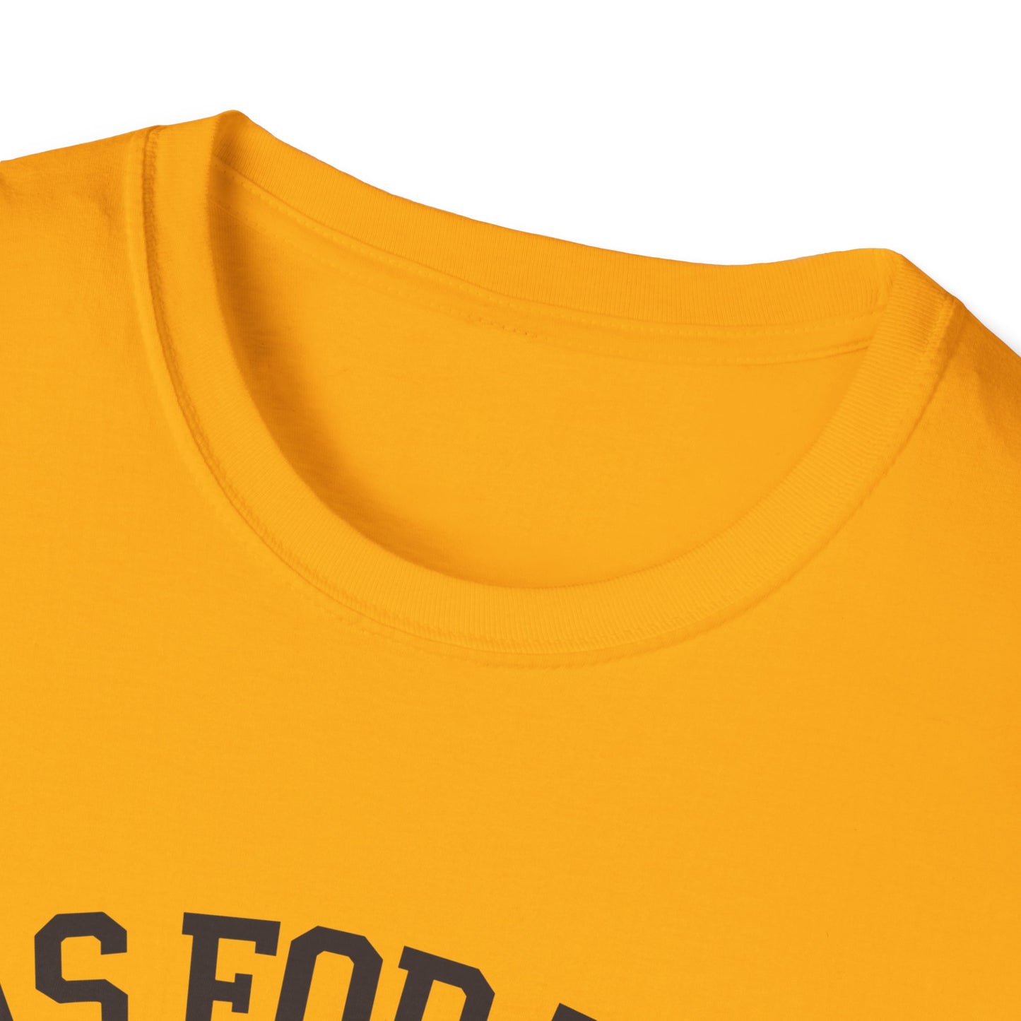 Faith-Based Unisex Softstyle T-Shirt - 'As for Me and My House, We Will Serve the Lord'