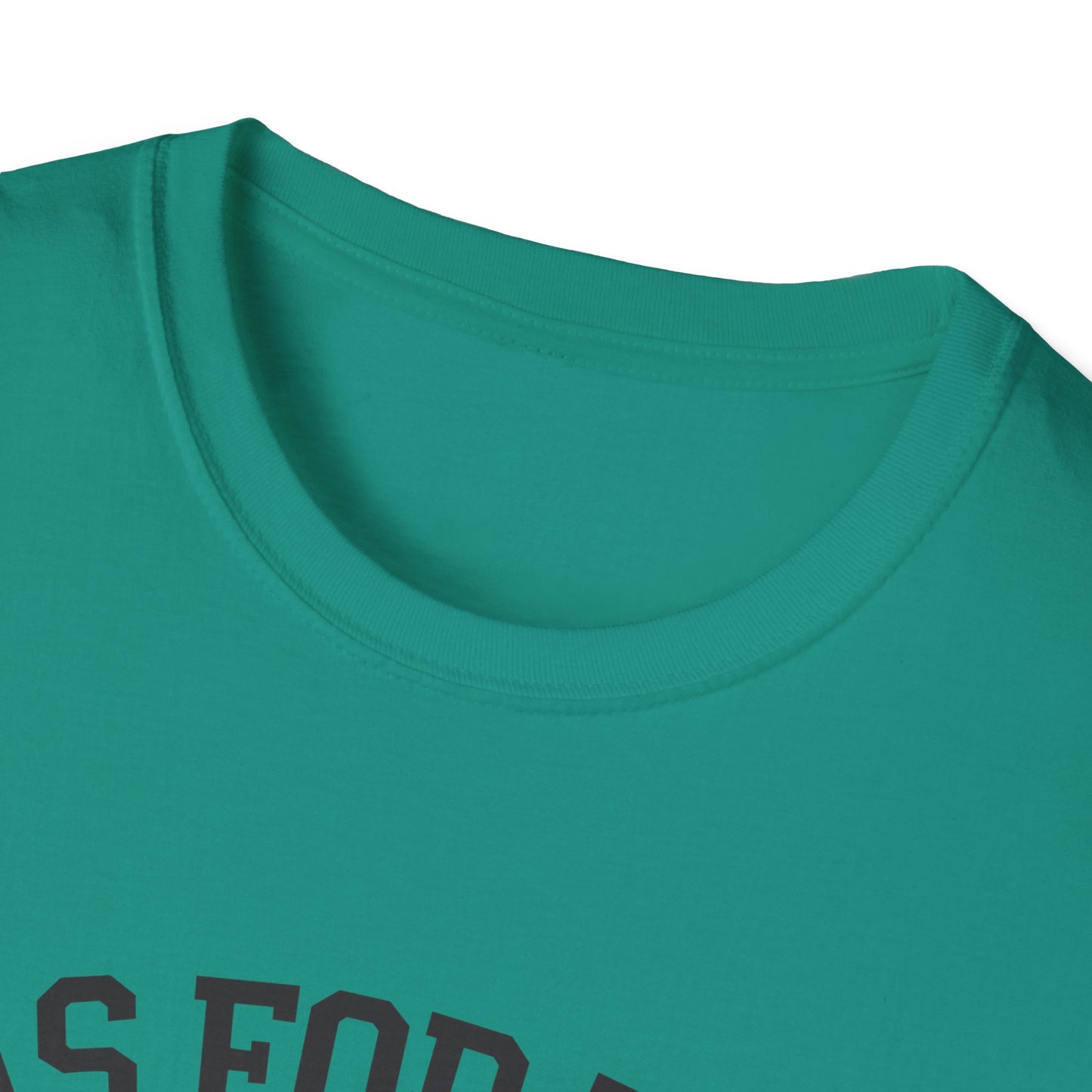 Faith-Based Unisex Softstyle T-Shirt - 'As for Me and My House, We Will Serve the Lord'