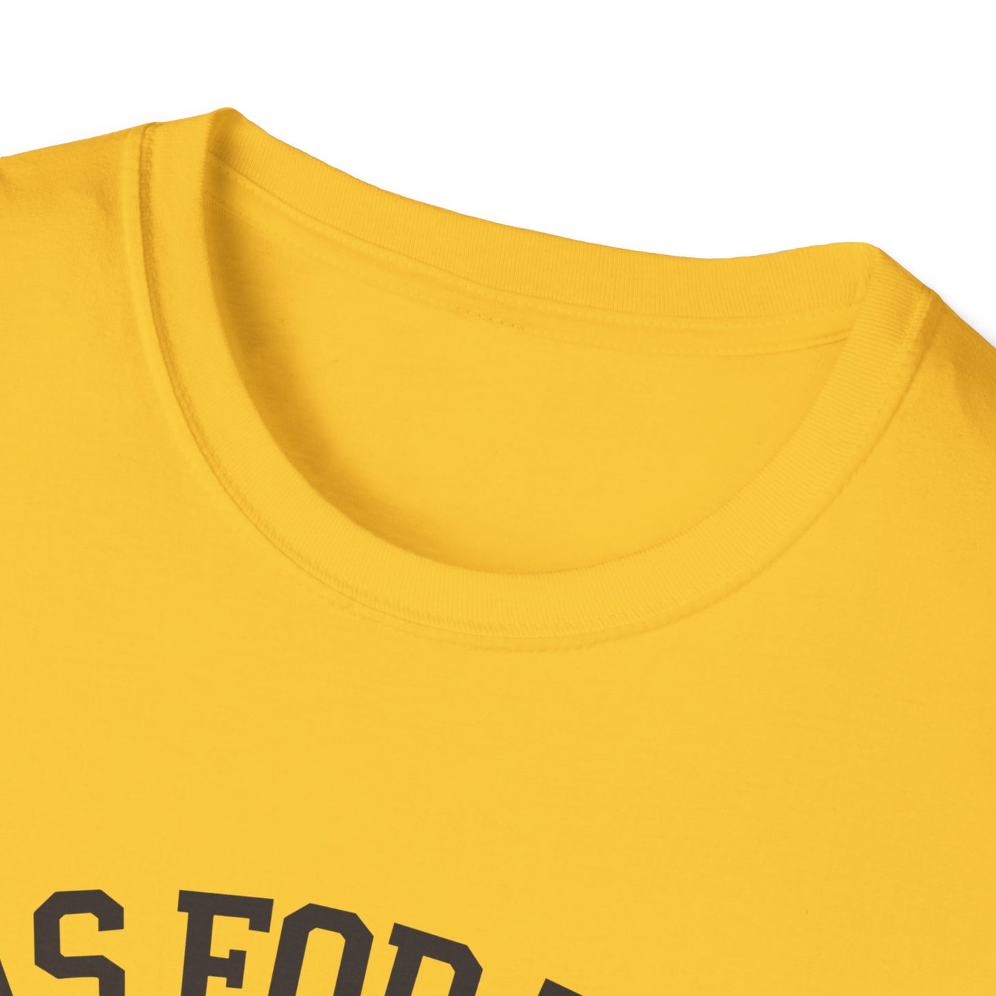 Faith-Based Unisex Softstyle T-Shirt - 'As for Me and My House, We Will Serve the Lord'