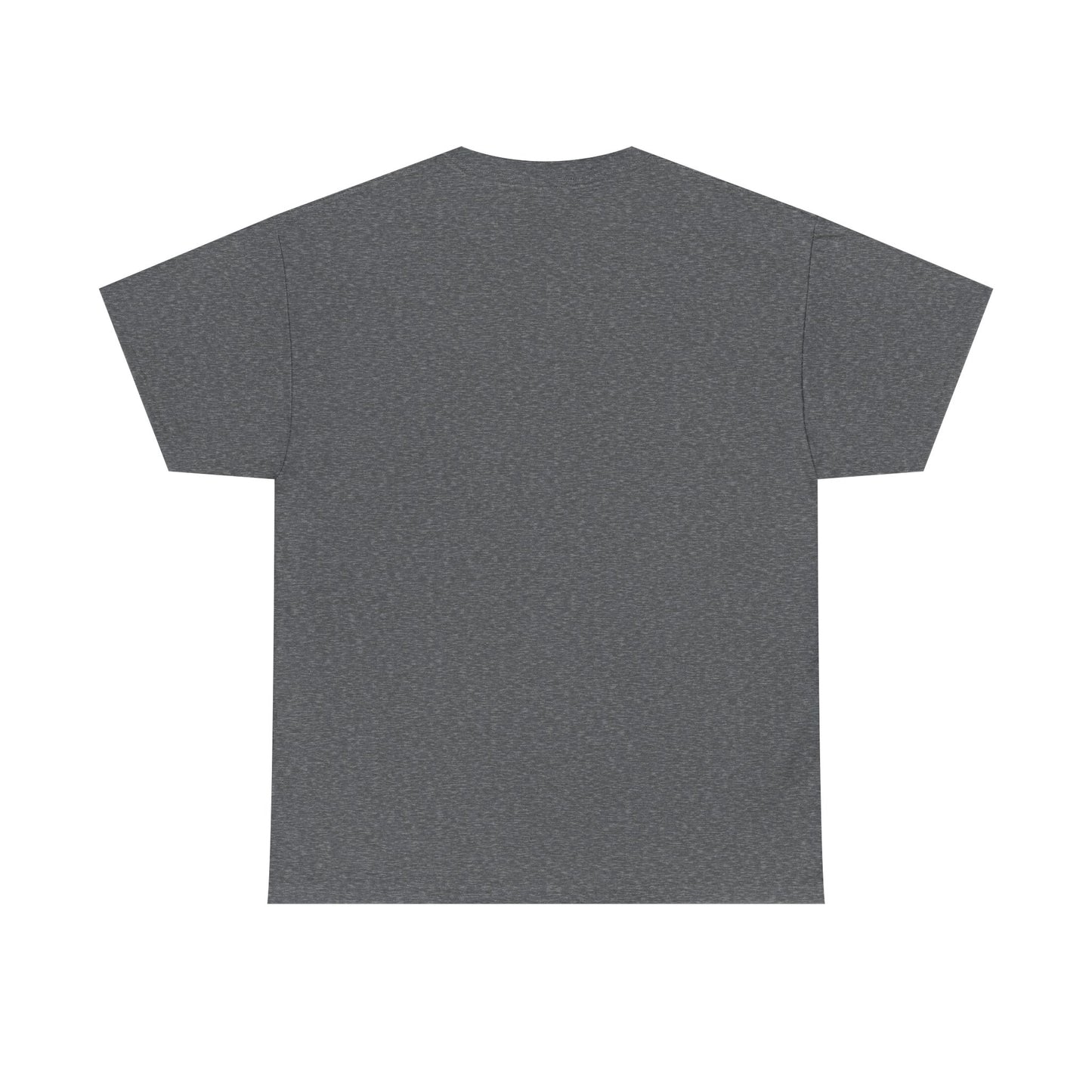 Inspirational Christian Unisex Heavy Cotton Tee - 'Ain't No Church Like The One I Got' - Christian Shirts and More