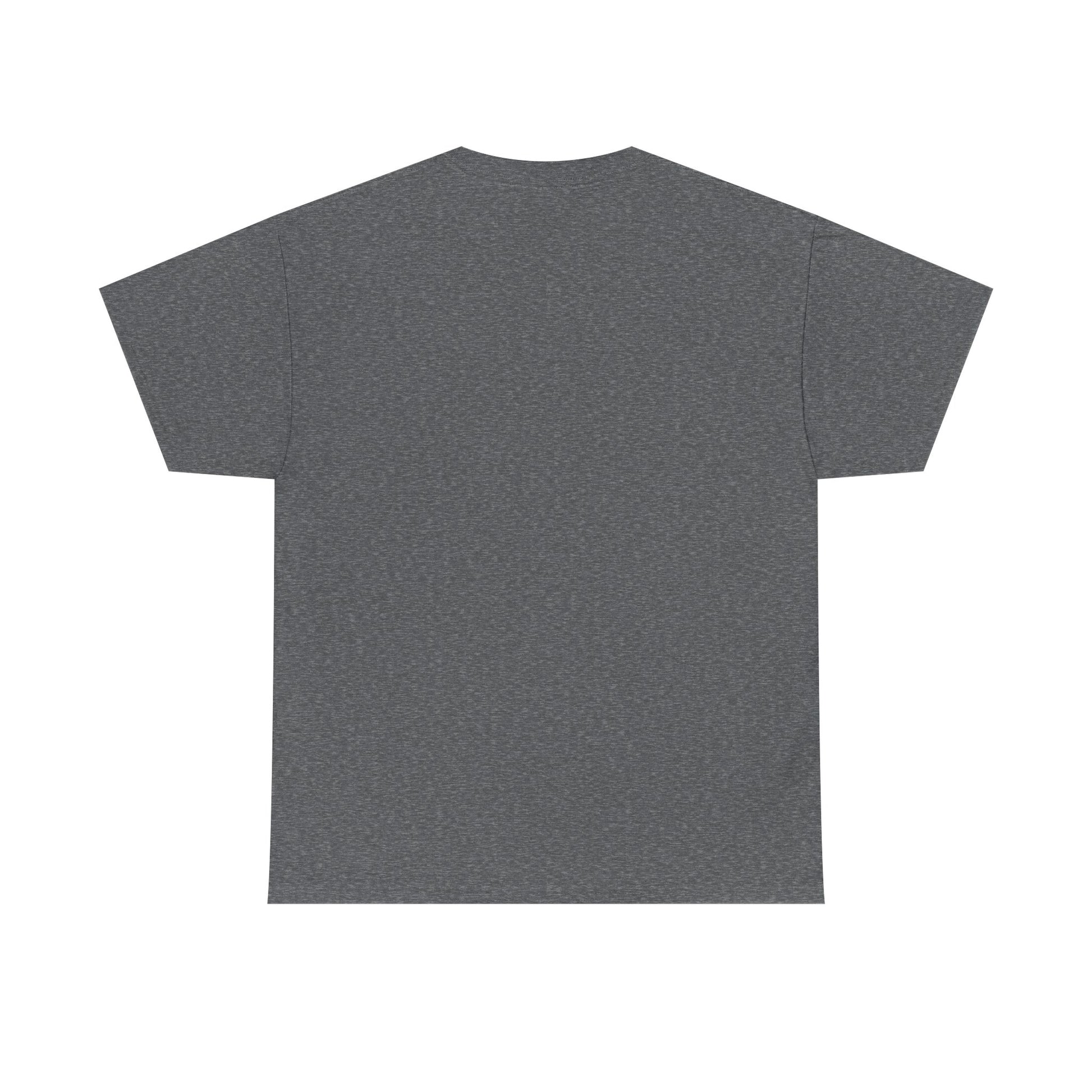 Inspirational Christian Unisex Heavy Cotton Tee - 'Ain't No Church Like The One I Got' - Christian Shirts and More